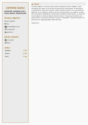 Hasta ve Yaşlı Bakım Elemanı Cv Örnekleri cv indir
